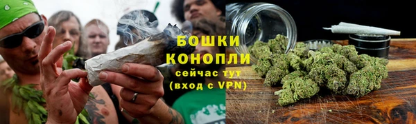 ПСИЛОЦИБИНОВЫЕ ГРИБЫ Аркадак