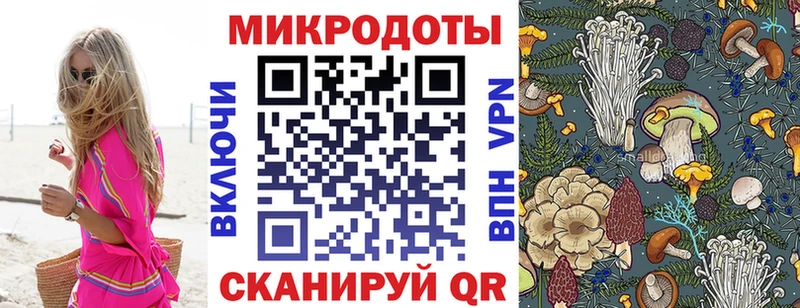 гидра ссылка  Фатеж  Псилоцибиновые грибы GOLDEN TEACHER 